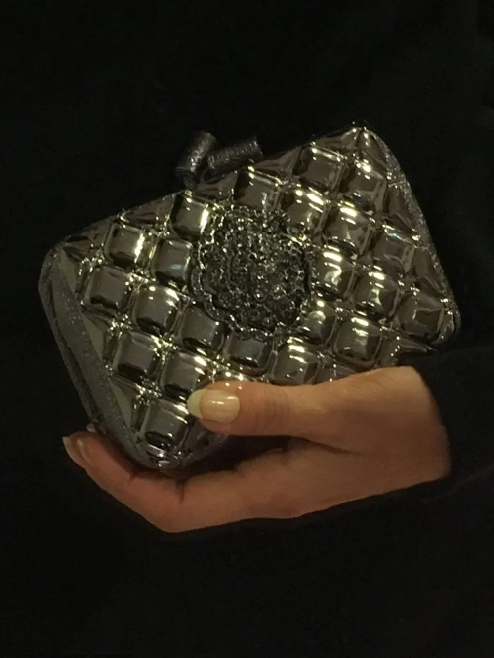 CHANEL RUNWAY BAG - Lions head - DK Silver Metal & Leather Clutch